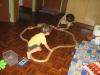 December 2008 013.jpg